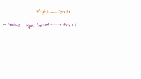 when-birds-are-mentioned-flight-immediately-comes-to-mind-explain-at-least-three-of-the-many-avian-specializations-which-make-flight-possible-describe-a-lineage-or-species-of-flightless-bird-74248