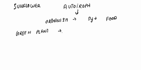 which-of-the-following-organisms-is-a-heterotroph-a-mushroom-b-alga-c-wheat-d-sunflower-00864