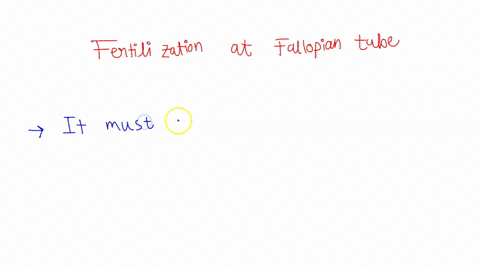 why-must-fertilization-occur-in-the-fallopian-tube-before-it-moves-into-the-uterus-69577