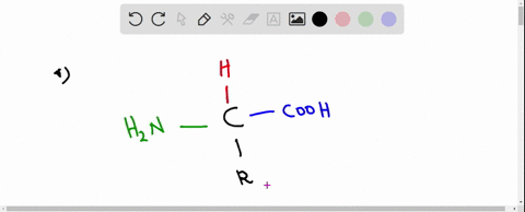 draw-a-representative-amino-acid-labelling-the-side-group-as-r-and-identifying-the-amino-and-carboxylic-acid-groups-00522
