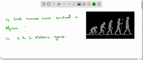 in-your-opinion-how-did-life-begin-where-did-we-originate-53686