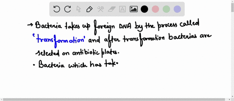 consider-the-experiment-below-an-infectious-bacteria-that-is-resistant-to-antibiotics-are-heat-treated-in-a-solution-the-heat-destroys-the-cell-membranes-and-the-cells-die-the-solution-conta-11812