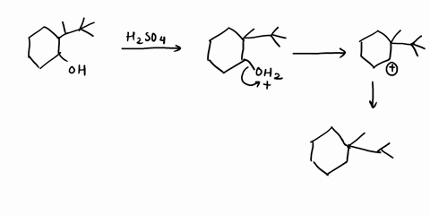 4-a-show-all-possible-alkene-products-of-the-reaction-below-hint-haam-products-have-a-5-ieminened-ring-and-mecnanisu-accounting-for-their-formation-you-do-nol-nced-t0-draw-evcny-inal-deprato-28523