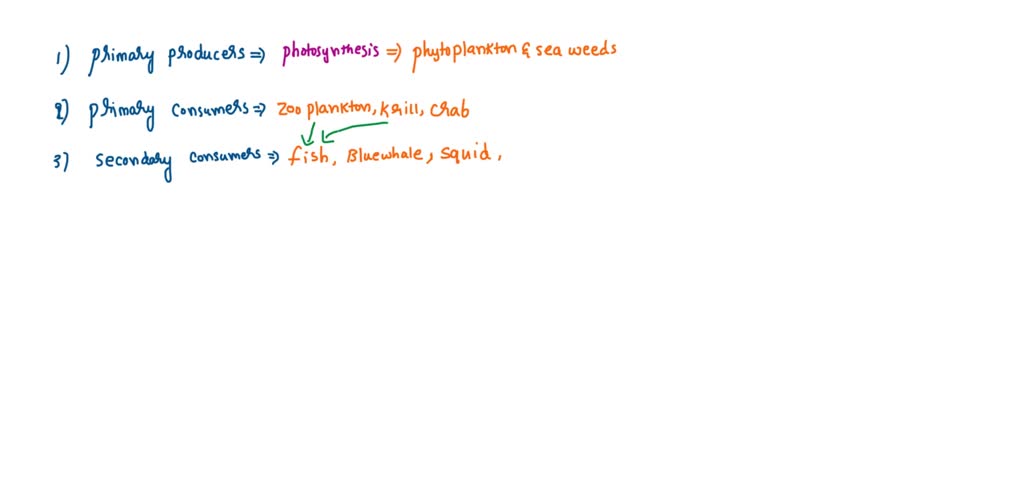 Solved: A Marine Food Web Is Diagrammed Here: Blue Whale Killer Whale 
