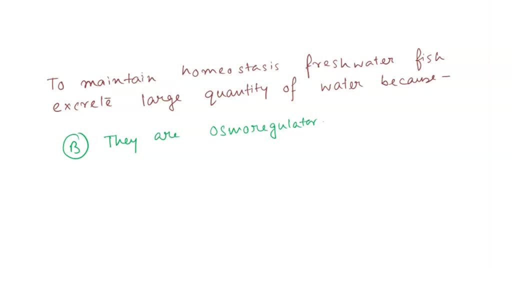 SOLVED To Maintain Homeostasis Freshwater Fish Excrete Large   C6281cbb 3ca7 46a9 Bf1c 8f60a81b5397 Large 