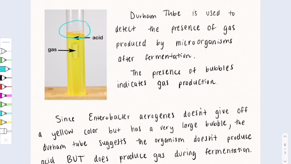 SOLVED after 48hours, a student observes a tube that has both yellow