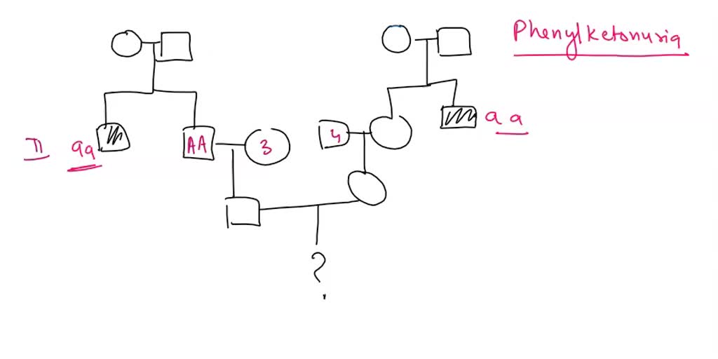 SOLVED: What is the expected number of heterozygous individuals in the ...