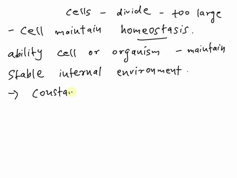 true-or-fasle-cells-have-to-divide-when-becoming-too-large-so-that-the-cell-can-maintain-homeostasis-51698