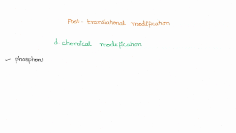 post-translational-modifications-of-proteins-can-affect-which-of-the-following-a-mrna-splicing-b-5ca-21982