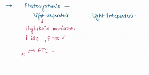 which-of-the-following-best-describes-the-role-of-atp-synthase-in-photosynthesis-a-atp-synthase-acts-like-channel-for-carbon-dioxide-b-atp-synthase-transfers-lectrons-from-photosystem-to-pho-38337