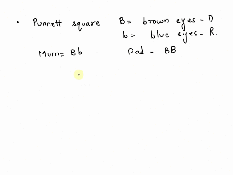 complete-the-following-punnett-square-be-sure-that-to-include-the-ratios-of-the-genotypes-and-the-words-used-to-describe-those-alleles-and-phenotypes-of-the-characteristics-b-brown-eyes-b-bl-88579