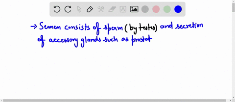 which-of-the-following-does-not-add-a-secretion-that-makes-a-major-contribution-to-semen-a-prostate-19927