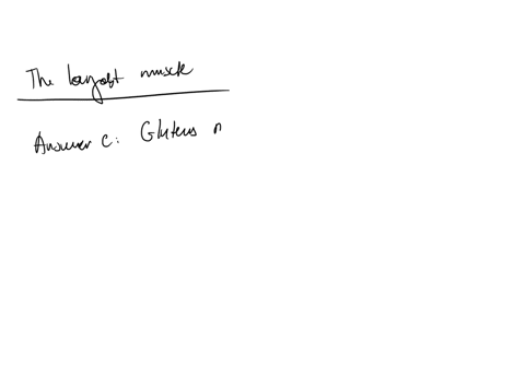 which-of-the-following-is-the-largest-muscle-a-deltoid-b-rectus-abdominis-c-gluteus-maximus-d-pectoralis-major-clear-my-choice
