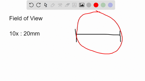 if-the-field-of-view-diameter-of-a-microscope-with-a-10x-objective-is-20mm-what-will-the-field-of-view-diameter-be-when-switching-to-a-40x-objective-34703