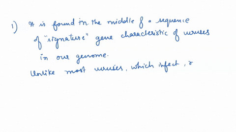 1-we-know-that-the-mammalian-syncytin-gene-which-codes-for-the-protein-syncytin-which-in-turn-is-vital-for-the-development-of-the-placenta-has-a-viral-origin-because-please-select-one-or-mor-68777