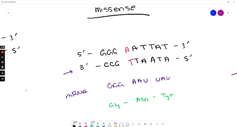 translation-of-mrna-using-the-genetic-code-table-provided-translate-the-following-messenger-rna-sequence-into-an-amino-acid-sequence-protein-aug-aaa-ggu-cac-ccc-silent-mutations-in-dna-notic-05382
