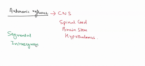 15-autonomic-reflexes-include-which-of-the-following-as-parts-of-the-circuit-select-all-that-apply-cardiac-muscle-posterior-root-0f-spinal-cord-skcletal-muscle-anterior-horn-of-spinal-cord-a-95981