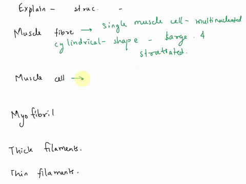 describe-the-structures-listed-below-fig-123-124-muscle-fiber-a-muscle-cell-myofibril-thick-filaments-thin-filaments-sarcoplasmic-reticulum-sr-transverse-tubules-t-tubules-34414