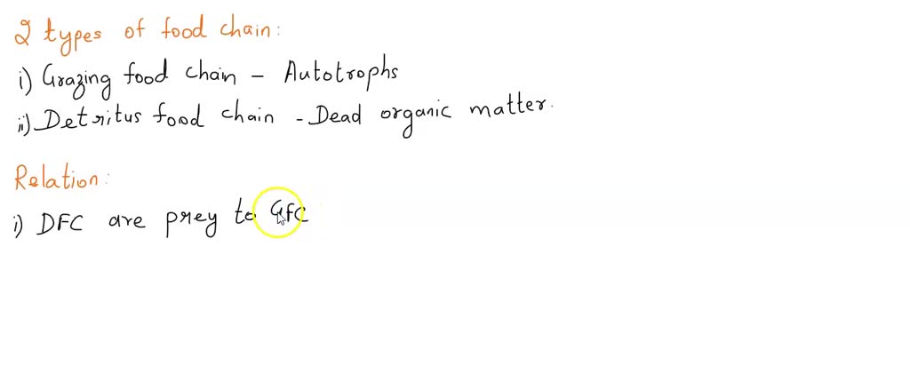 solved-what-are-the-materials-in-food-chains