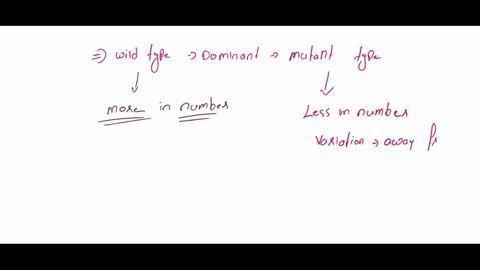 12-a-particular-allele-of-a-gene-including-the-wild-type-allele-can-be-expressed-in-a-dominant-fashion-for-several-reasons-a-explain-why-wild-type-alleles-are-usually-dominant-to-mutant-alle-81983