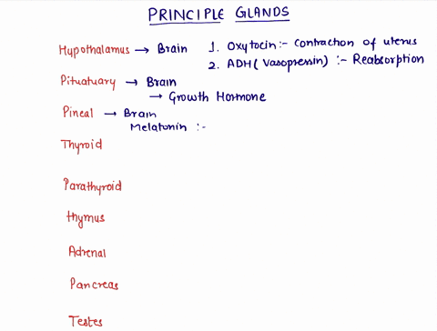 describe-the-function-of-the-hormones-of-the-principal-endocrine-glands-25981