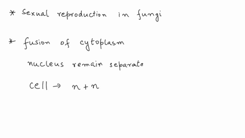 which-statement-about-life-cycles-with-a-dikaryon-stage-is-false-a-zygosporangium-results-from-the-fusion-of-two-coenocytic-hyphae-in-effect-the-dikaryon-is-neither-diploid-nor-haploid-dikar-25825