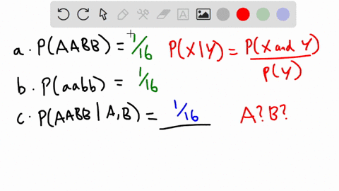 let-s-now-explore-slightly-more-complicated-crossing-two-aabb-parents-because-each-parent-now-produces-four-possible-gametes-we-can-depict-the-4x4-16-possible-progeny-outcomes-using-a-punnet-50208