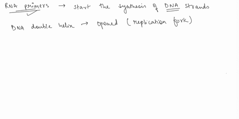 5-the-following-sequence-of-bases-is-present-along-one-chain-of-a-dna-double-helix-that-has-opened-up-at-a-replication-fork-and-synthesis-of-an-rna-primer-on-this-template-begins-by-copying-26012