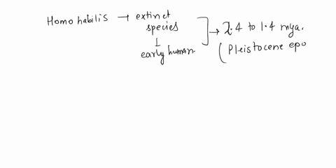 31-the-cranial-capacity-of-homo-habilis-is-approximately-1200-cc-900-cc-1450-cc-700-cc-1520-cc-49113