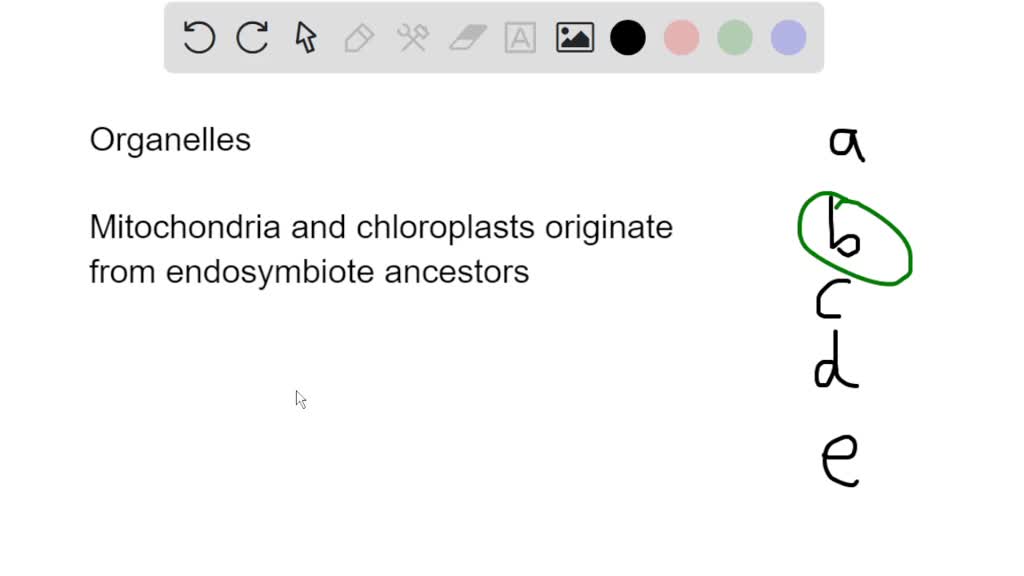 SOLVED: 'Question 7 Which of the following organelles most closely ...