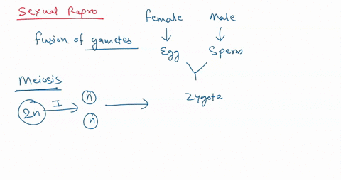 10-total-10-pts-define-sex-3-pts-list-2-advantages-of-sex-2-pts-list-2-disadvantages-of-sex-2-pts-using-an-example-from-class-or-from-the-textbook-provide-evidence-for-or-against-the-adaptiv-43013