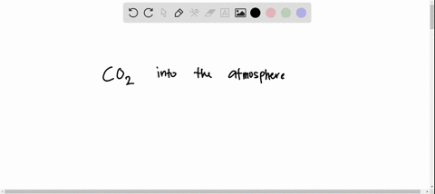 which-of-the-following-processes-return-carbon-dioxide-to-the-atmosphere-choose-all-which-apply-light-reactions-of-photosynthesis-dark-reactions-of-photosynthesis-krebs-cycle-electron-transp-99603