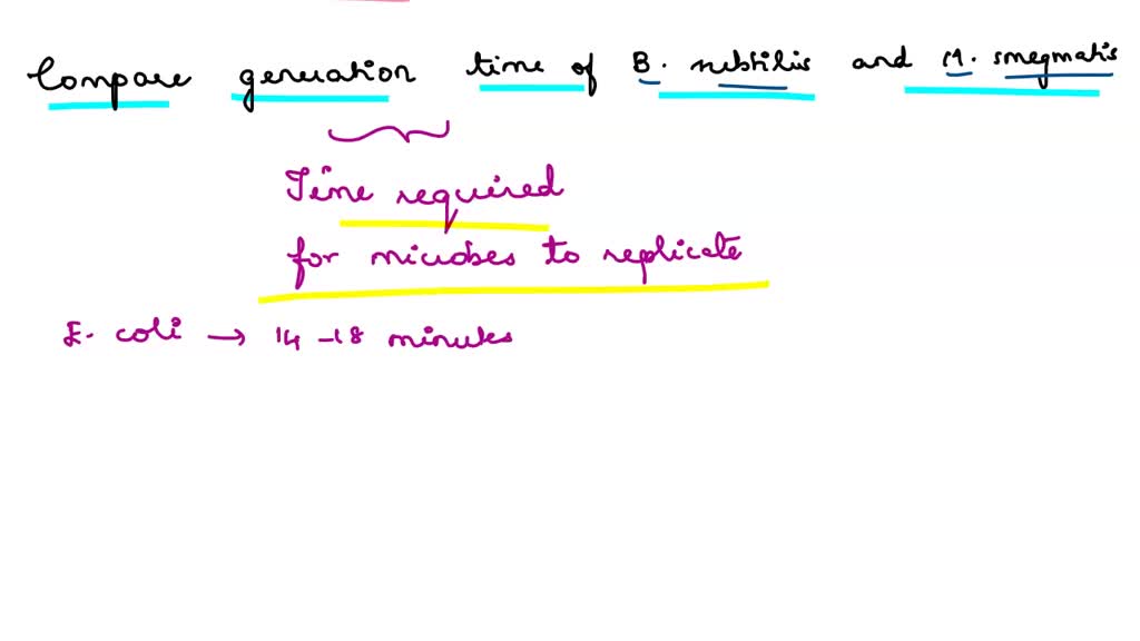SOLVED Compare the cell wall structure of Bacillus subtilis with that