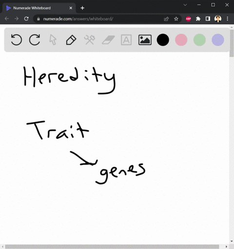 summarize-in-your-own-words-describe-what-heredity-is-and-how-it-works-in-mice-give-lots-of-points-98142