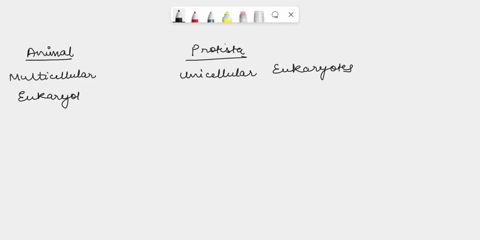 which-of-the-following-describes-all-animals-but-not-all-protists-a-all-animals-are-heterotrophic-and-have-cells-with-no-cell-wall-b-all-animals-are-complex-and-photosynthetic-c-all-animals-85232