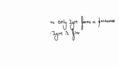 question-14-25-points-the-type-of-immunoglobulin-that-is-produced-first-and-forms-a-pentamer-is-operatornameigg-operatornameig-operatornameig-e-lg-d-lg-a
