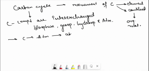 the-essential-elements-mentloned-above-are-cycled-through-cells-and-the-eartn-in-biogeochetca-cycles-the-carbon-nitrogen-and-sulfur-cycles-select-the-correct-answer-or-fill-in-the-blanks-to-36172