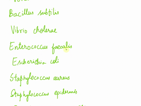possible-unknowns-docx-list-of-possible-unknown-organisms-proteus-mirabilis-bacillus-subtilis-vibrio-cholerae-enterococcus-faecalis-escherichia-coli-staphylococcus-aureus-staphylococcus-epid-16322