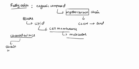 what-are-the-characteristics-of-these-fatty-acids-76621