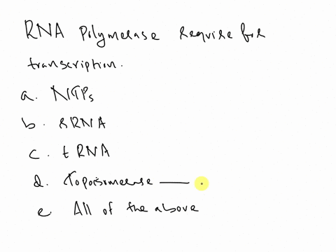 9-what-does-rna-polymerase-require-for-transcription-sv-a-ntps-b_-rrna-trna-ds_-topoisomerase-all-of-the-above-57667