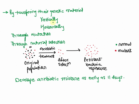 scientists-are-concerned-that-bacteria-will-be-resistant-to-all-antibiotics-within-the-next-decade-using-your-knowledge-of-conjugation-in-bacteria-describe-how-bacterial-populations-can-deve-76014