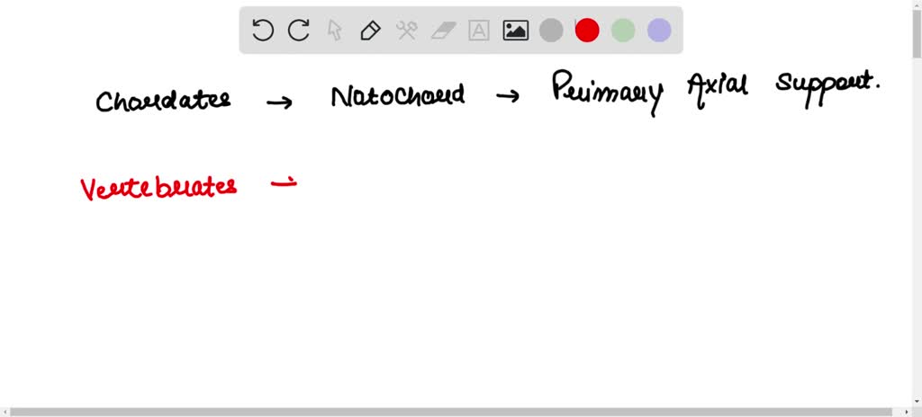 SOLVED: What feature do Chordates have that are also found in embryonic