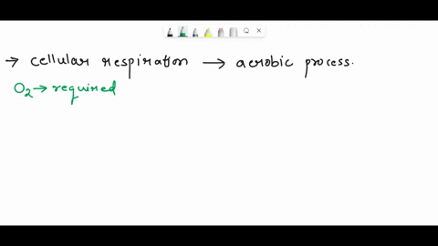 why-is-cellular-respiration-referred-to-as-an-aerobic-process-water-is-required-for-it-to-occur-cell-motility-is-required-it-generates-energy-as-a-product-oxygen-is-required-for-it-to-occur-73552