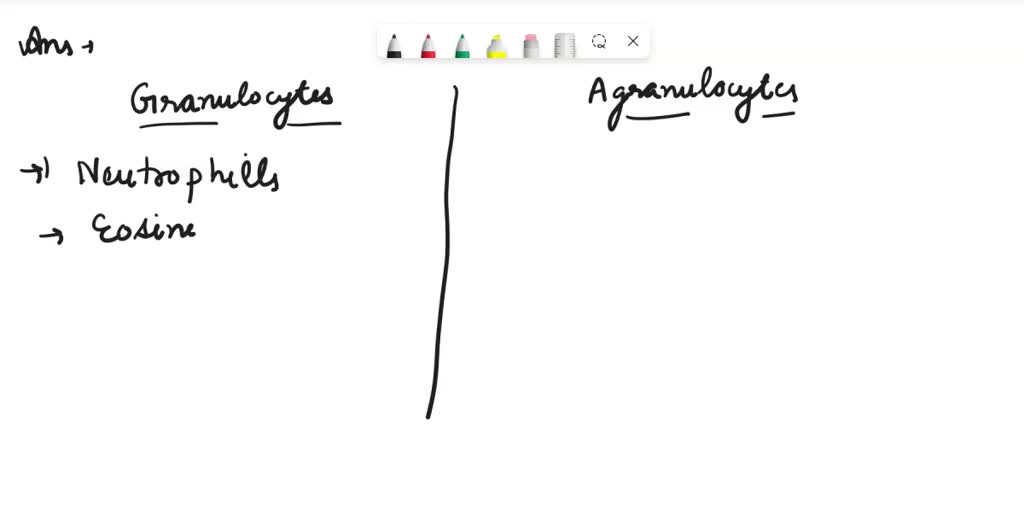 SOLVED Determine whether each cell is an agranulocyte or granulocyte B