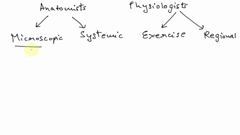 a-scientist-wants-to-study-how-the-body-uses-foods-and-fluids-during-a-marathon-run-this-scientist-i-90607