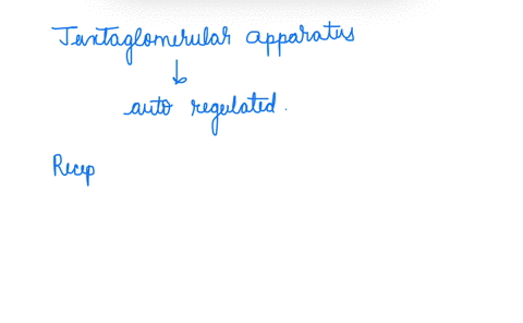 which-of-the-following-is-an-example-of-autoregulation-of-kidney-function-a-the-raas-regulates-na-by-51555