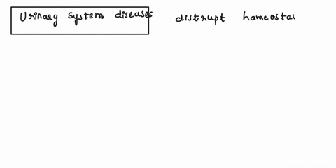 explain-why-urinary-system-diseases-may-cause-problemswith-the-overall-homeostasis-of-the-body-00112