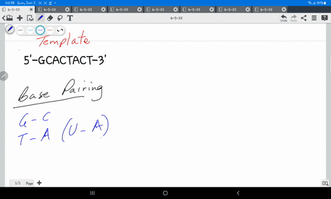 what-is-the-complementary-dna-strand-of-the-following-sequence-write-your-answer-5-to-3-5-gcactact-3-38065