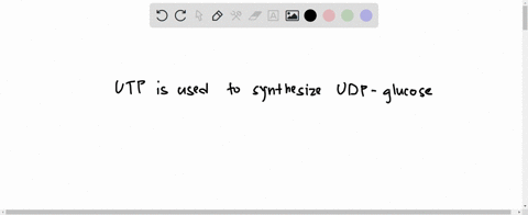 question-12-which-of-these-reactions-produces-inorganic-pyrophosphate-glucose-6-p-is-converted-t0-glucose-glycogen-attacked-by-phosphorylase-utp-is-used-to-synthesizc-udp-glucose-atp-is-synt-04063