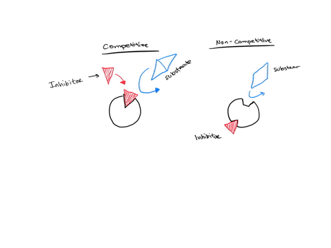 question-42-1-point-how-do-competitive-and-noncompetitive-enzyme-inhibitors-differ-competitive-inhibitors-bind-to-the-active-site-whereas-noncompetitive-inhibitors-change-the-shape-of-the-ac-45362